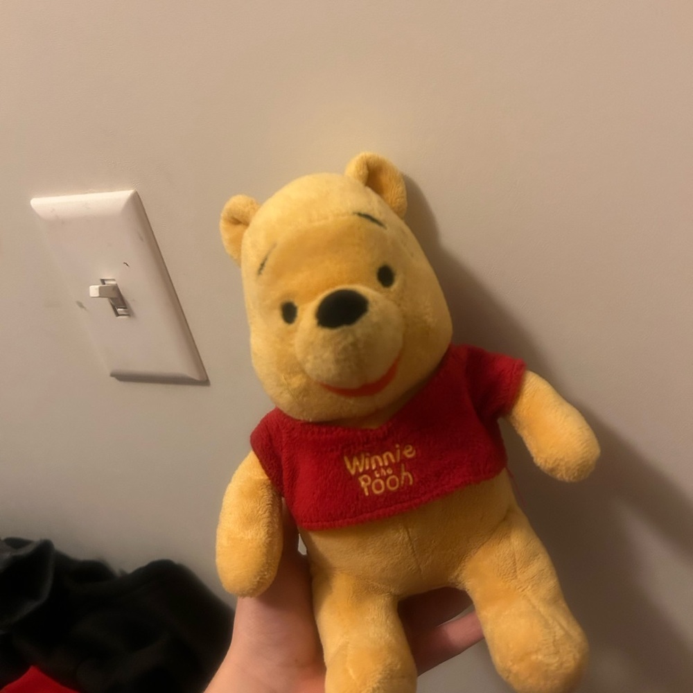 Winnie the Pooh Plush Toy
